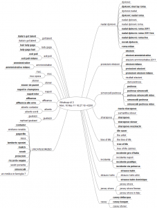 Mappa mentale in formato Freemind Mappa mentale in formato Freemind